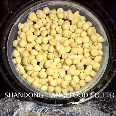 Sieni suolavedessä tynnyreissä PNS Whole Slice