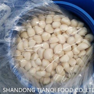 Suolavesi Valkosipulin kynsiä rummussa