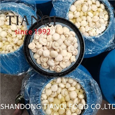 White Slice Champignon sienet 50 kg tynnyreissä