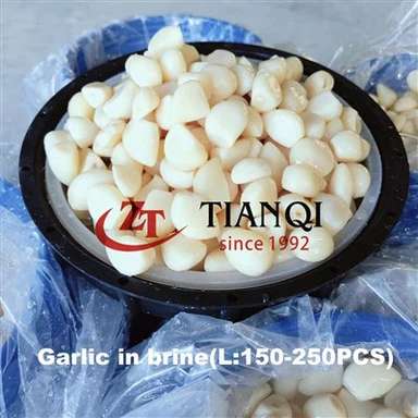 Valkosipuli suolavedessä rummuissa