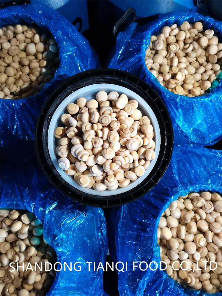 Whole champignon mushroom in brine in barrel