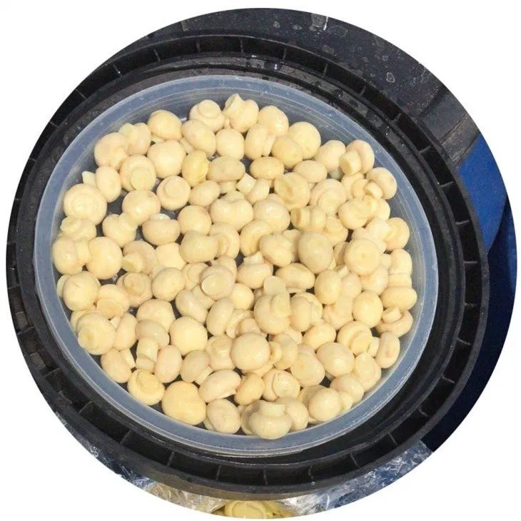 Brined whole mushroom 1.0-1.5cm in plastic drums