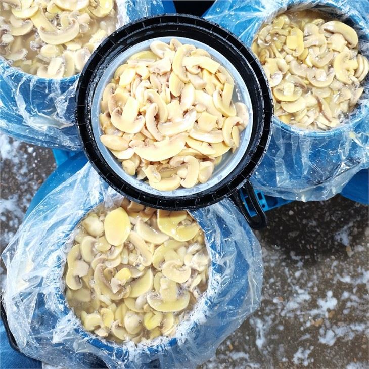 Sliced white mushroom in salty water in drums