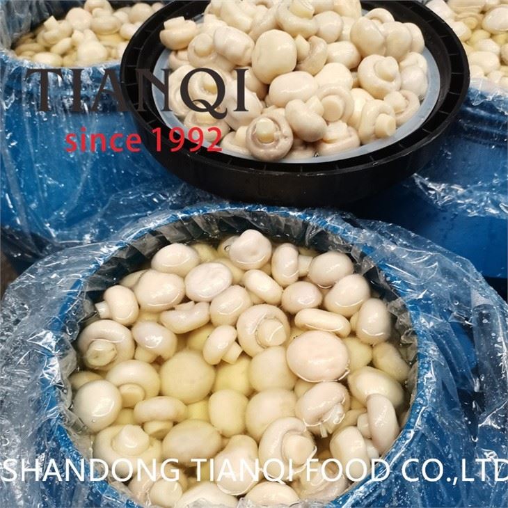 Preserved white mushroom in salty water in drums