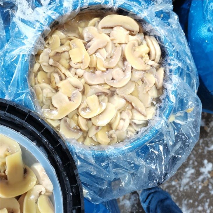 New Crop Mushroom in Brine in Plastic Barrel