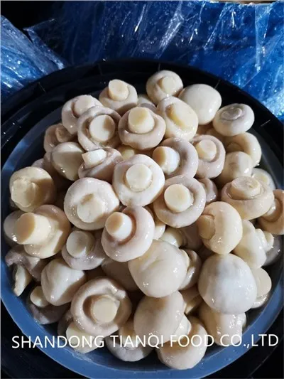 Uusi sato, tuore suolattu sieni rummussa